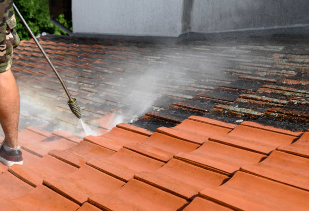 Best Roof Pressure Washing  in Union City, PA